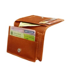 MATSS Men Tan Genuine Leather Card Holder