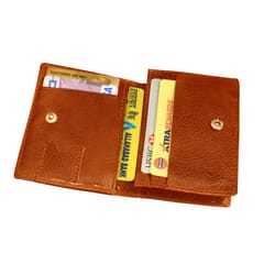 MATSS Men Tan Genuine Leather Card Holder