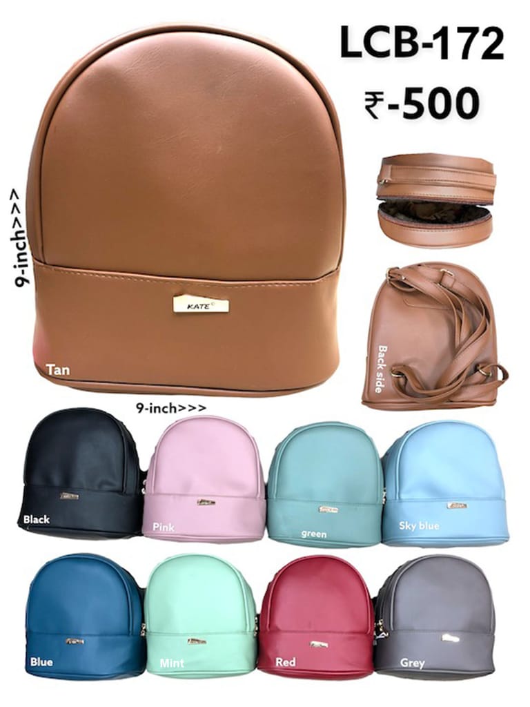 Casual Backpack in Assorted color - LCB-172