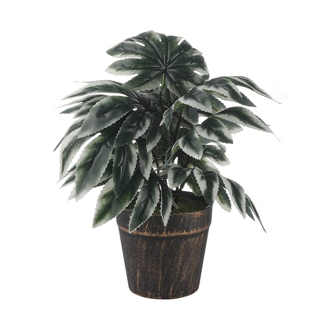 Foliyaj Maple Leaf Plant|Bonsai Tree|Artificial Flower|Home Decor for Living Room|Gifting
