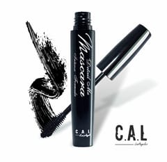 CAL Losangeles Detail Me Mascara Intense formula