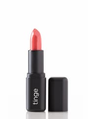 Wax Lipstick, Macaroon, Raisin Brown