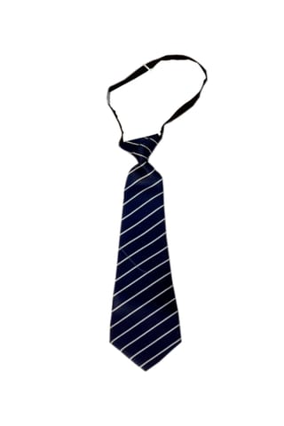 Tie With Stripes (Std. 1st to 4th)