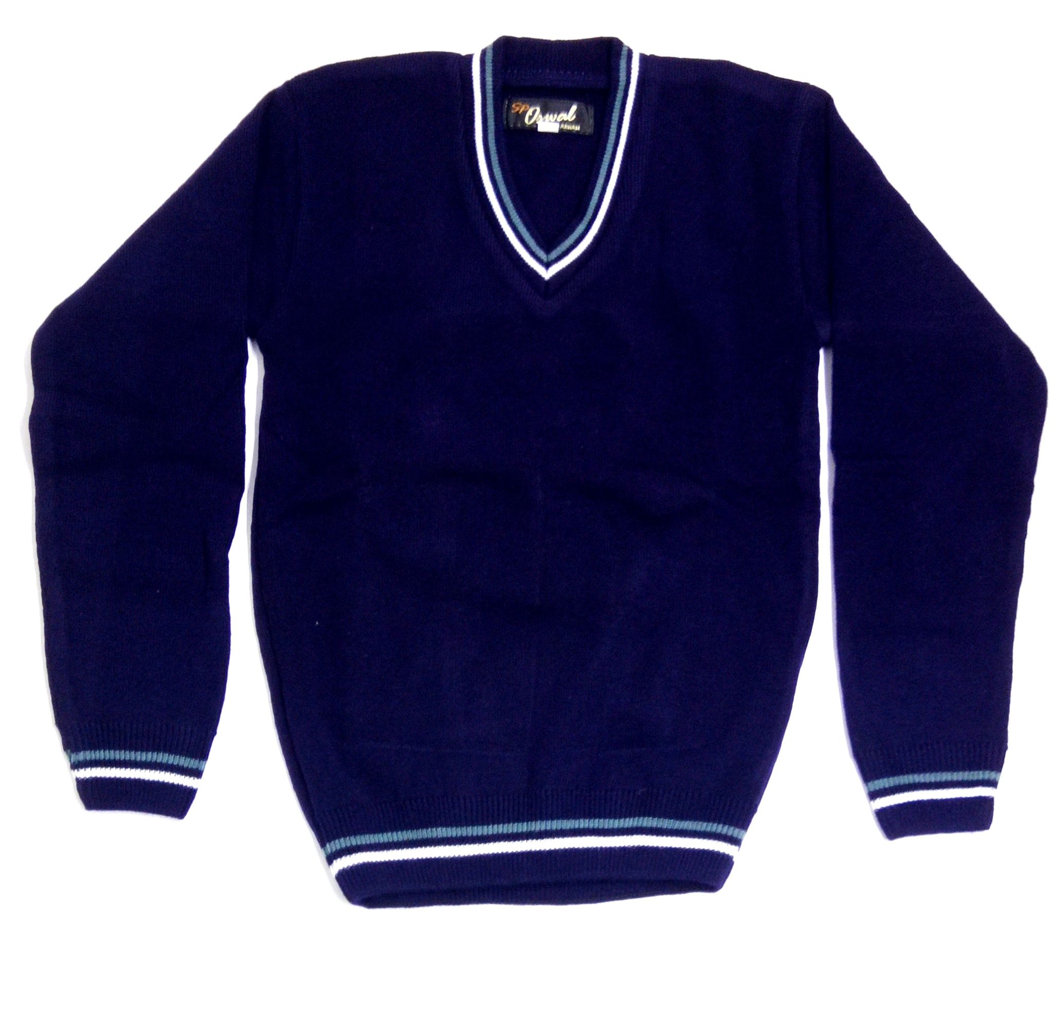 Dav public hot sale school sweater