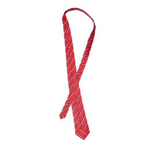 Stripes Neck Tie (Std. 8th to 10th)