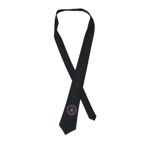 Neck Tie With Logo (Std. 8th  to 10th)