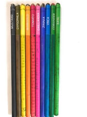 Plantable Color Seed Pencils