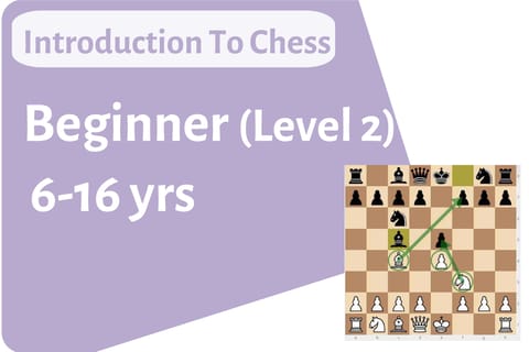 Introduction to Chess - Beginner (Level 2)