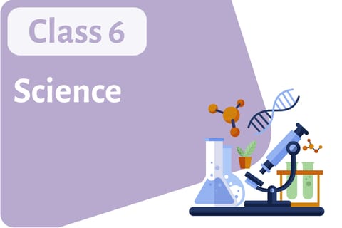 Science Class – 6