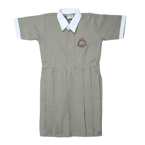 Frock with Logo (std 1st to 12th)