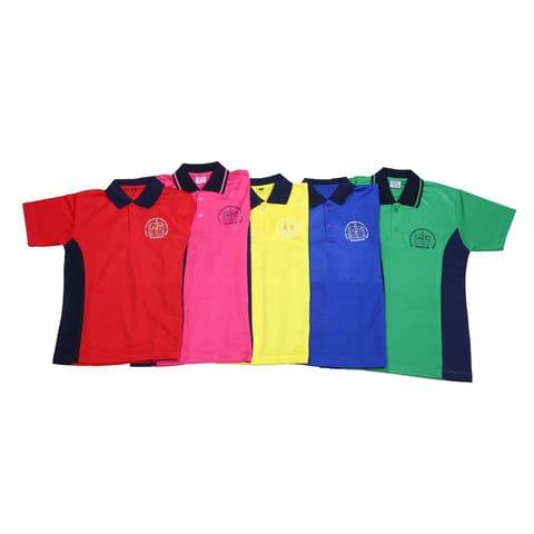 PT T-Shirt (Std. 1st to 10th)