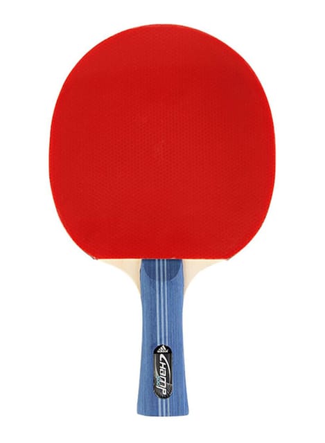 Stylish Table Tennis Racquet Red/Blue 12 x 7.3inch