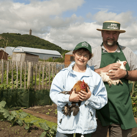 Ards Allotments