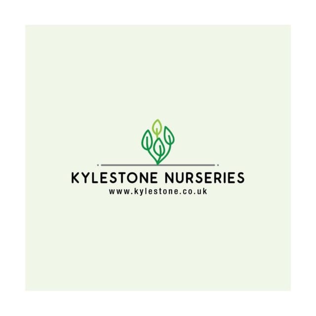 Kylestone nurseries, Groomsport