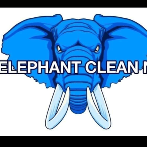 Elephant Clean NI