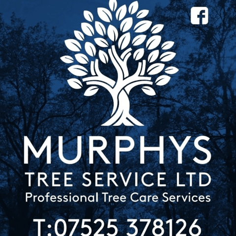 Murphys Tree Service Ltd