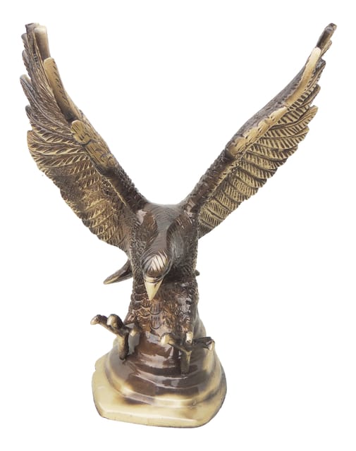 Brass Antique Showpiece Eagle Statue - 7*5*9 inch (AN006 E)