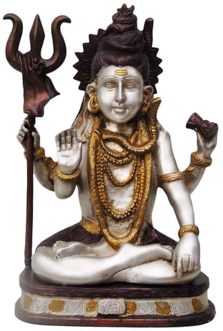 Brass Showpiece Shiv Ji Statue - 9*7*15 Inch (BS483 A)
