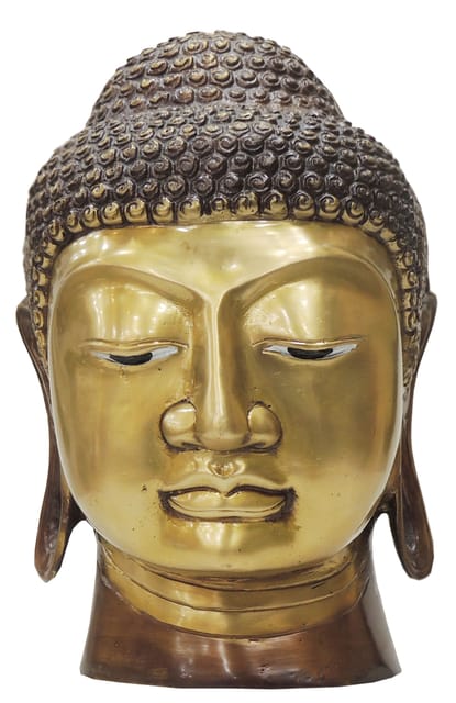 Brass Showpiece Buddha Head Statue - 7*6.5*9.5 Inch (BS791 A)