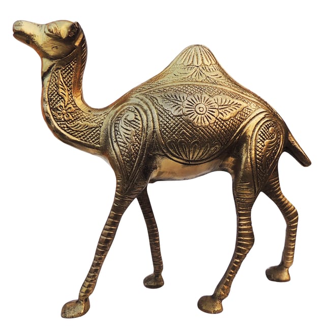 Brass Showpiece Camel Statue - 8.2*2.5*8 Inch (AN074 B)