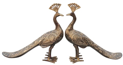 Brass Showpiece Peacock Pair Statue - 11.5*3.2*10.5 Inch (AN253 C)