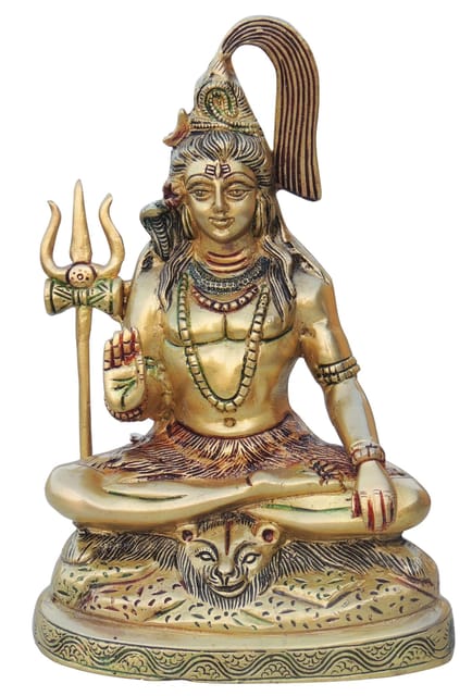 Brass Showpiece Shiv Ji Statue - 6*3*9 Inch (BS947 D)
