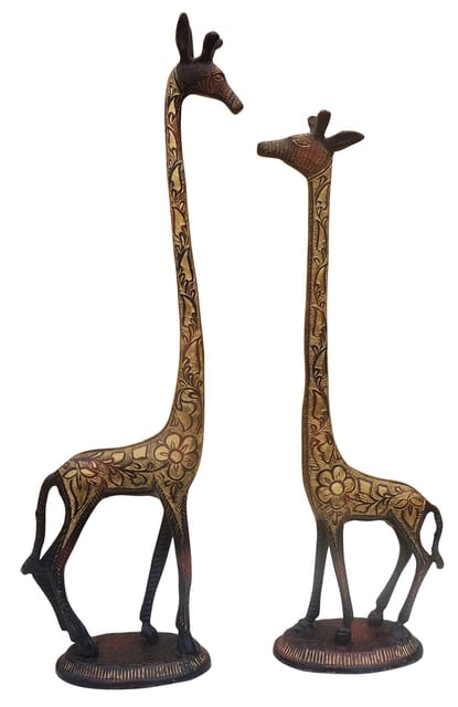 Brass Showpiece Giraffe Statue - 6*3.5*22 Inch (AN057 B)