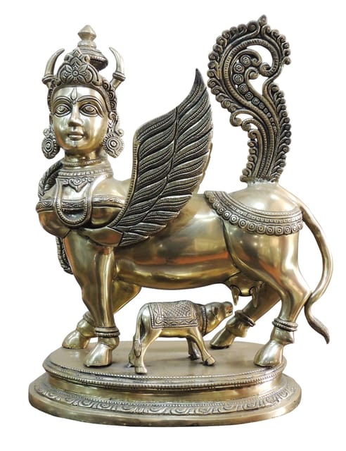 Brass Showpiece Kamdhenu Cow Statue - 13*8*16.5 inch (BS1498 A )