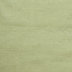 Tea Green Chanderi Plain Fabric