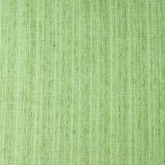 Mint Green Plain Mahi Silk Fabric