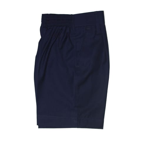 Samsidh Navy Blue Shorts