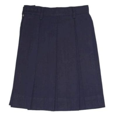 Samsidh Blue Skirt