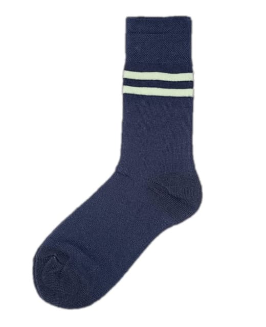 Samsidh Blue Socks
