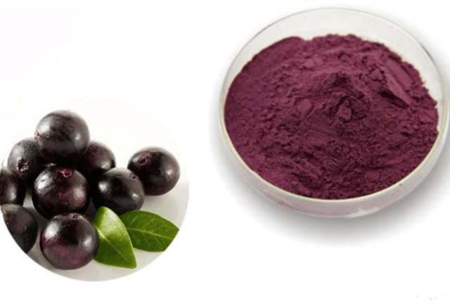 DRY EXTRACT OF ACAI 1KG
