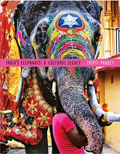 India's Elephants