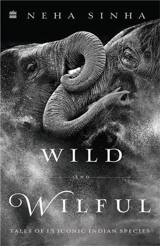 Wild And Wilful