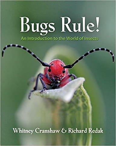 Bugs Rule! An Introduction To The World Of Insects