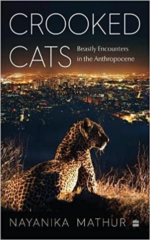 Crooked Cats Beastly Encounters In The Anthropocene