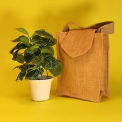 Jute Lunch Bag | Reusable & Eco-friendly