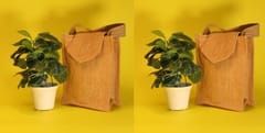 Jute Handcrafted Bag - Pack of 2