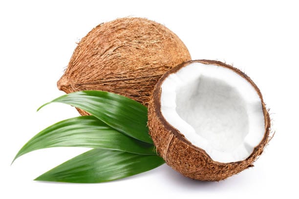 Coconut : 1 Pc