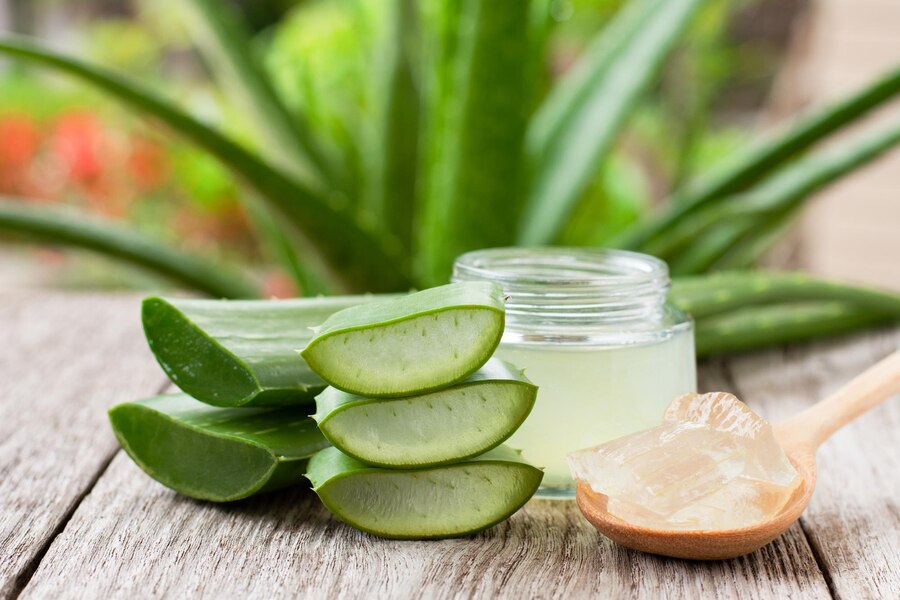 Aloe vera is the best option if struggling with how to remove dandruff