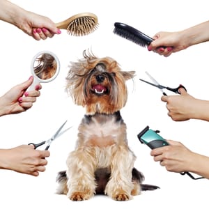 Grooming (Full Package) (Mid size dogs)