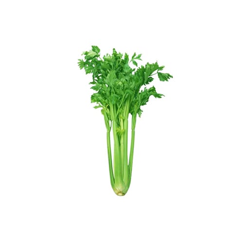 Livegreen Celery Organic