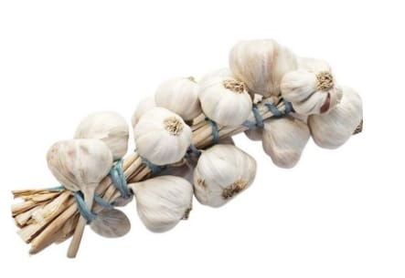 Tony-Adel Native Garlic String per Pack