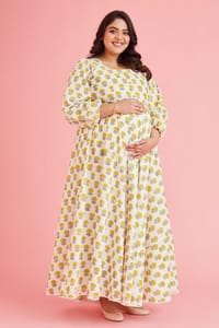 The Mama Project Anvi Nursing & Maternity Fit N Flare Maxi Dress