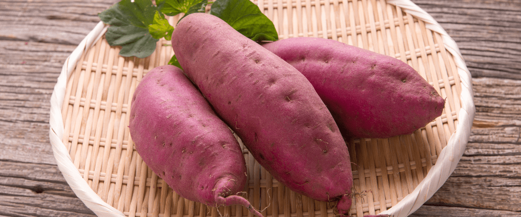 Sweet potato in Pregnancy 