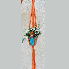 Combo of 4 Hanging Planter (Orange, Khaki, Green, Pink)