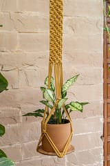 Classic Wide Hand-Knotted Plant Hanger