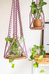Intertwined Hand-Knotted Plant Hanger